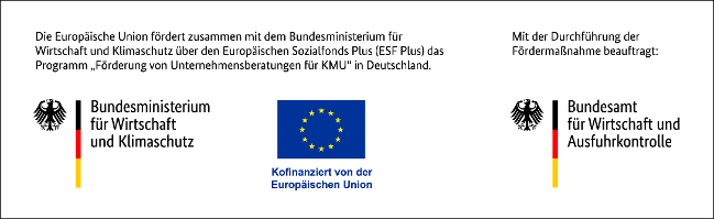 disclaimer_unternehmensberatung_bmwk_esf.png